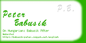 peter babusik business card